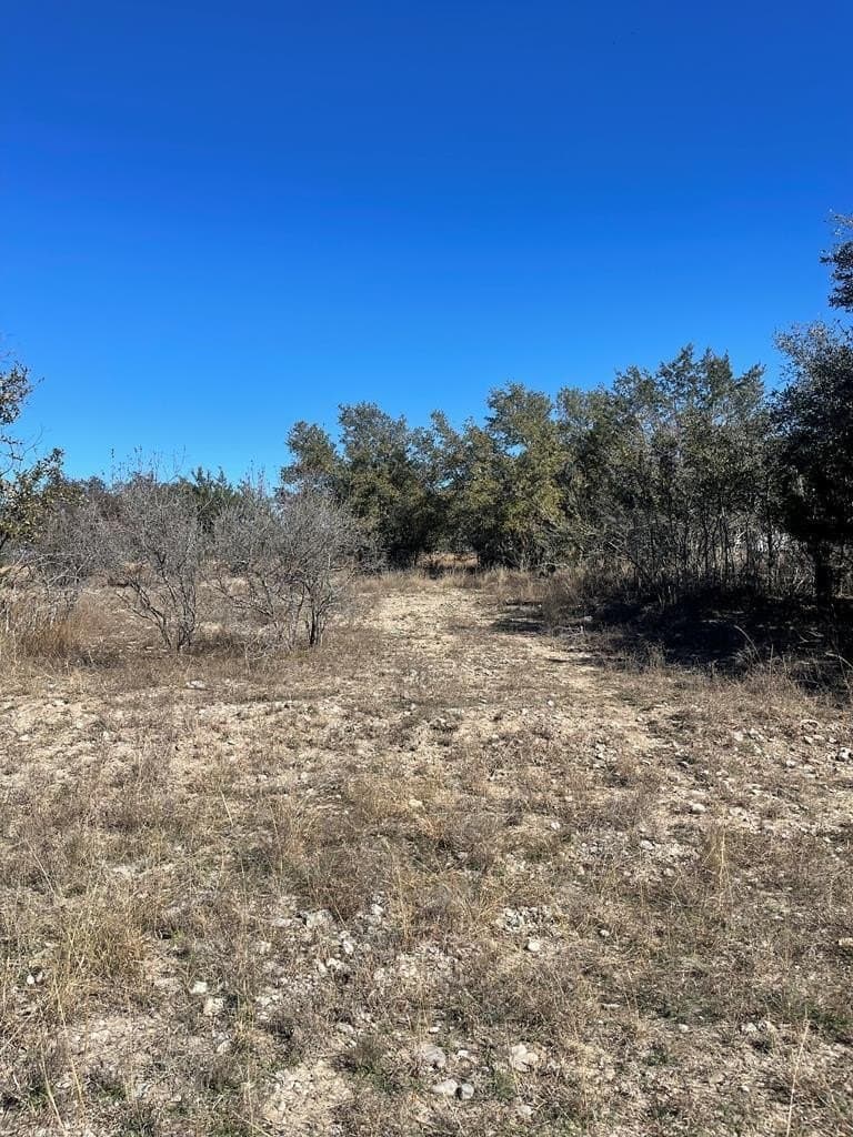 0.26 acres in Bandera County gallery image 2