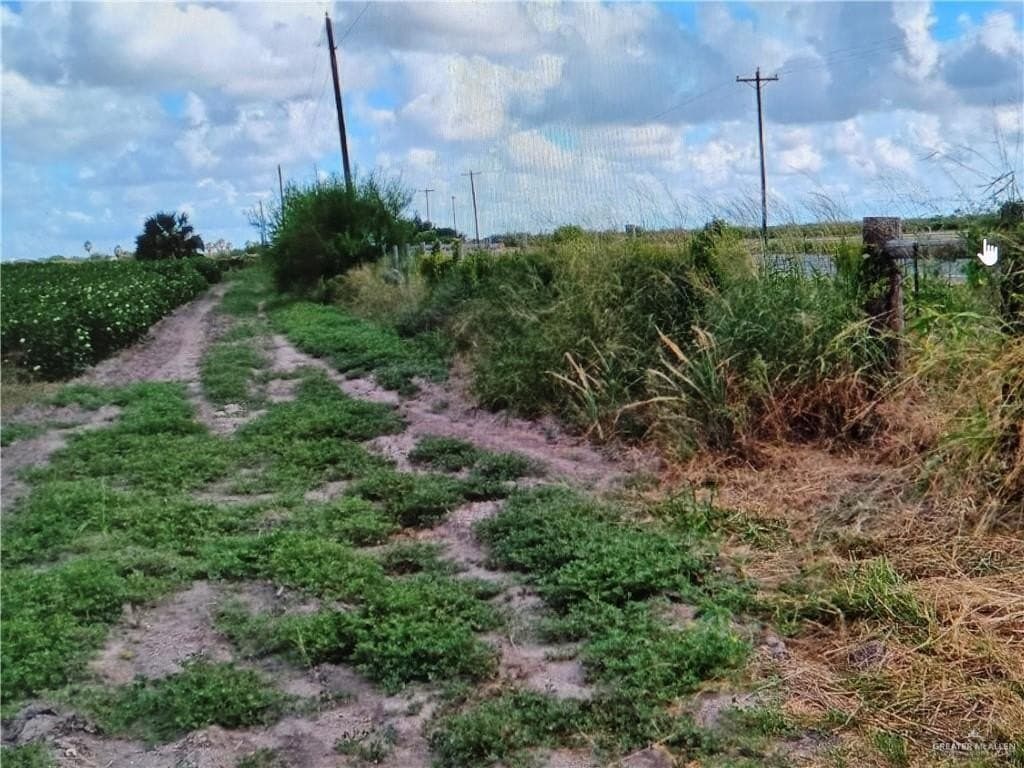 24 acres in Willacy County