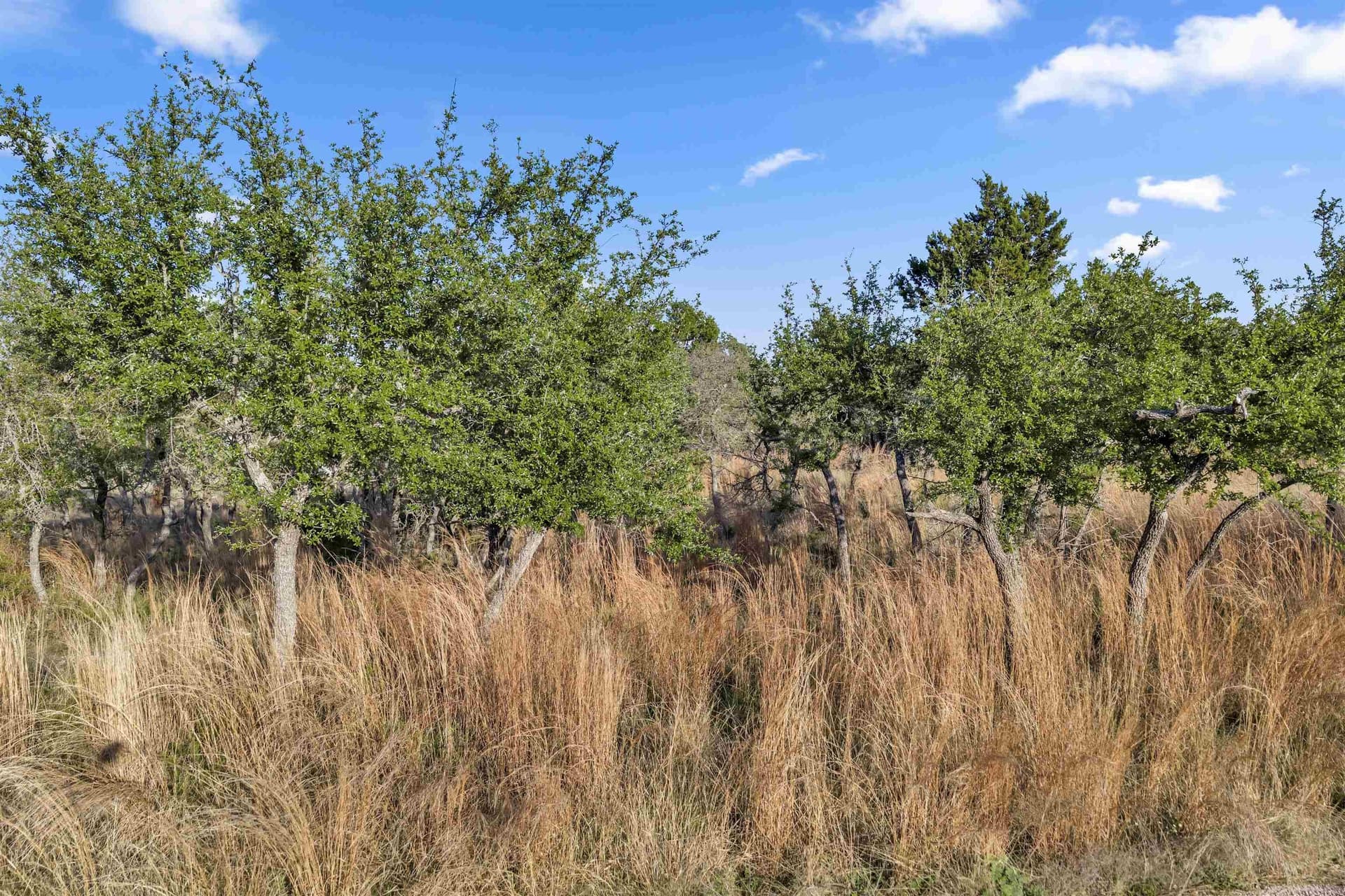 17 acres in Burnet County - photo 10