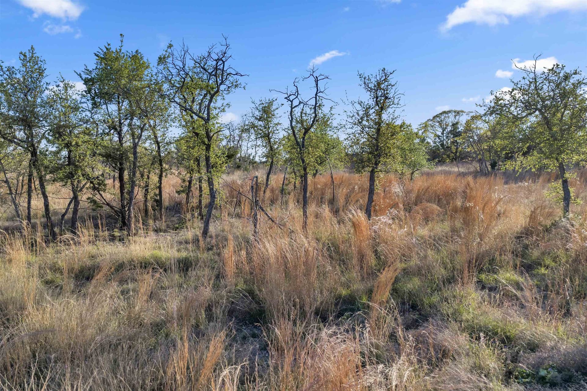 17 acres in Burnet County - photo 11