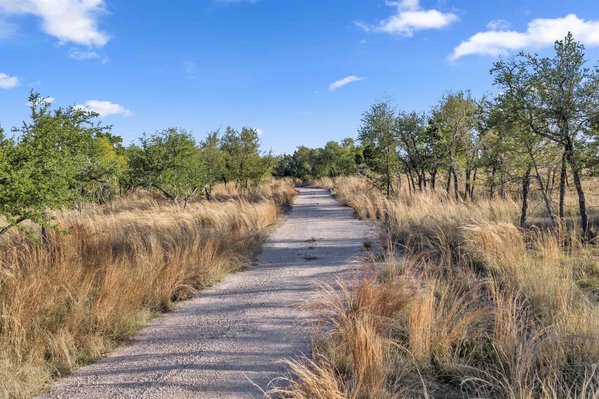 17 acres in Burnet County - photo 9