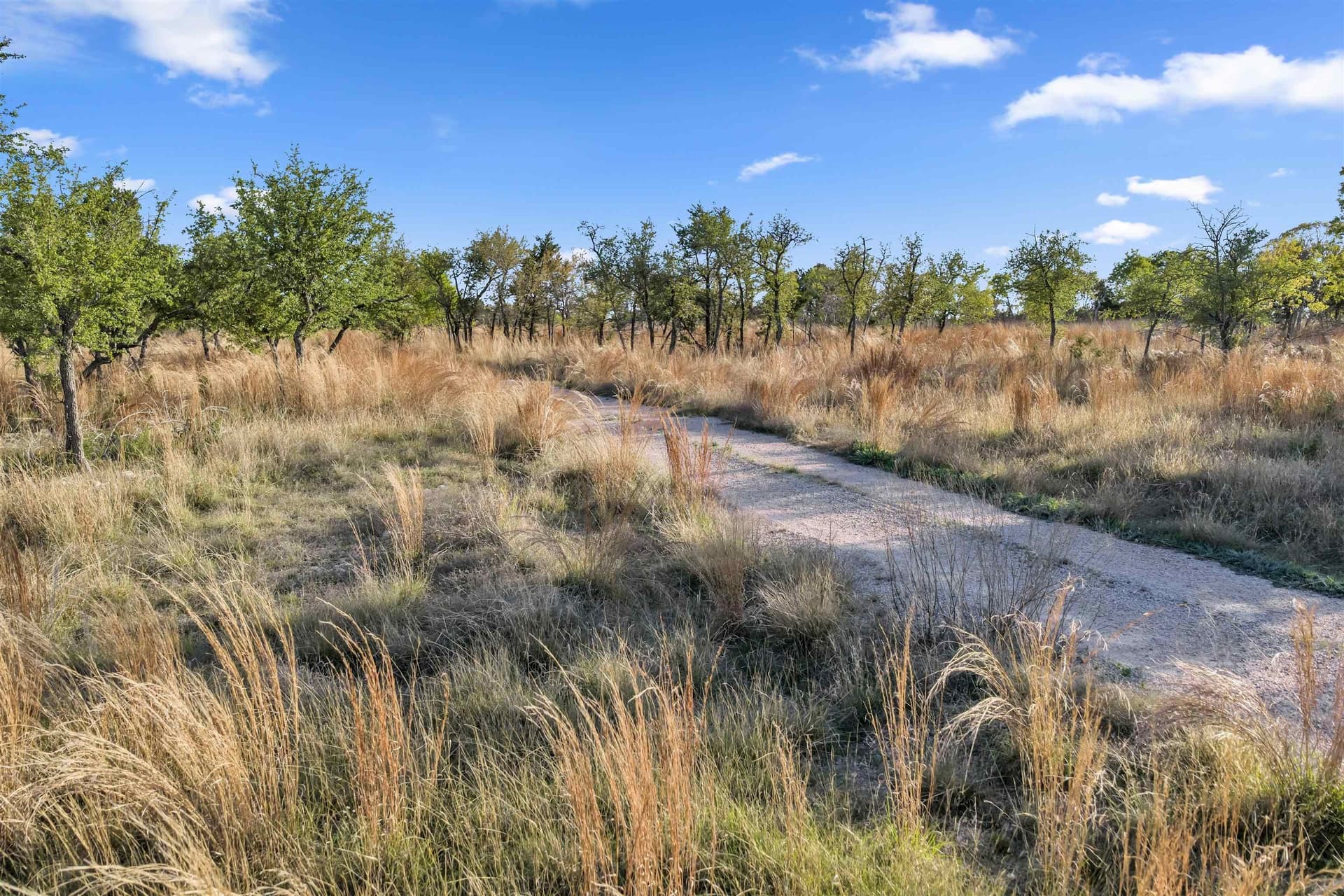 17 acres in Burnet County - photo 8
