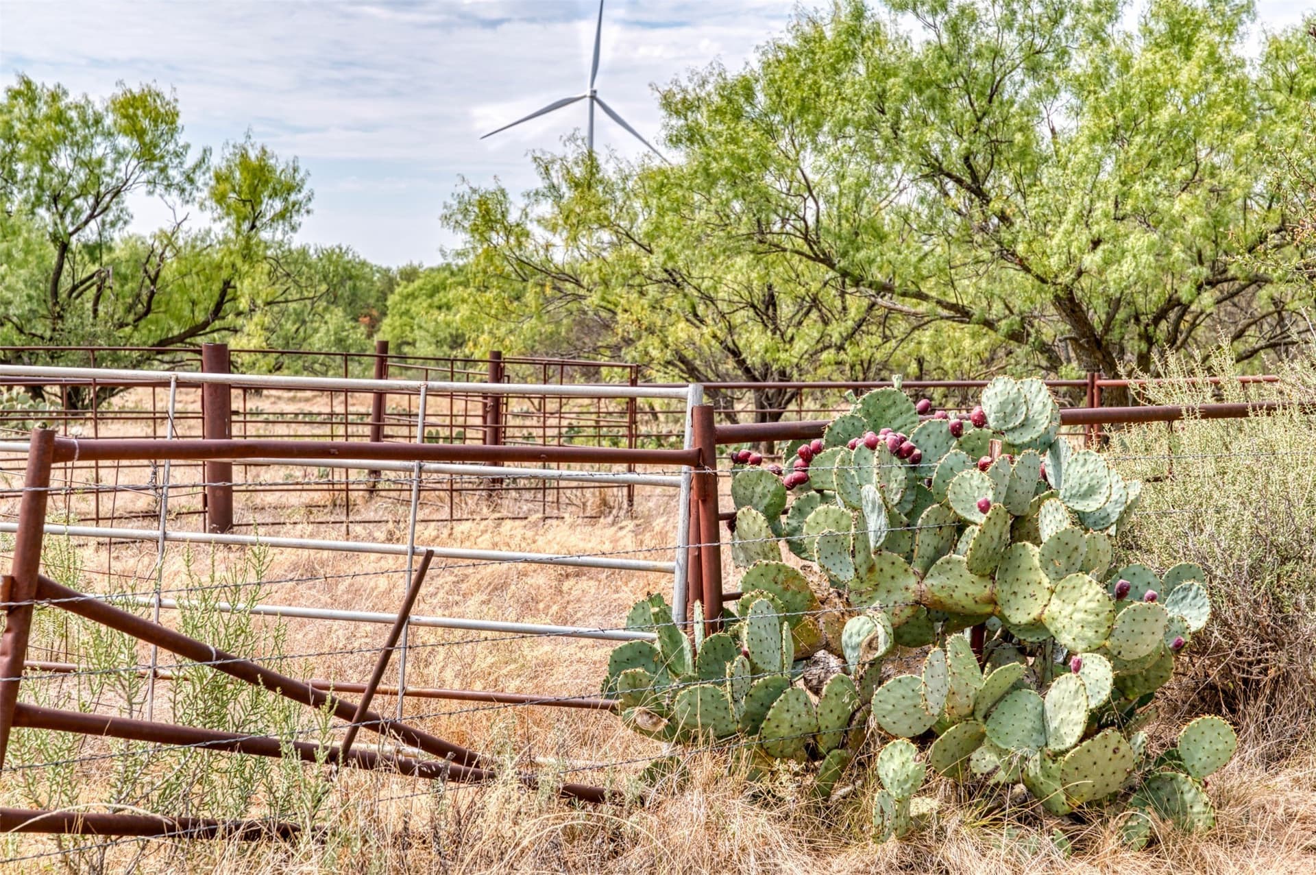 163 acres in Callahan County - photo 23