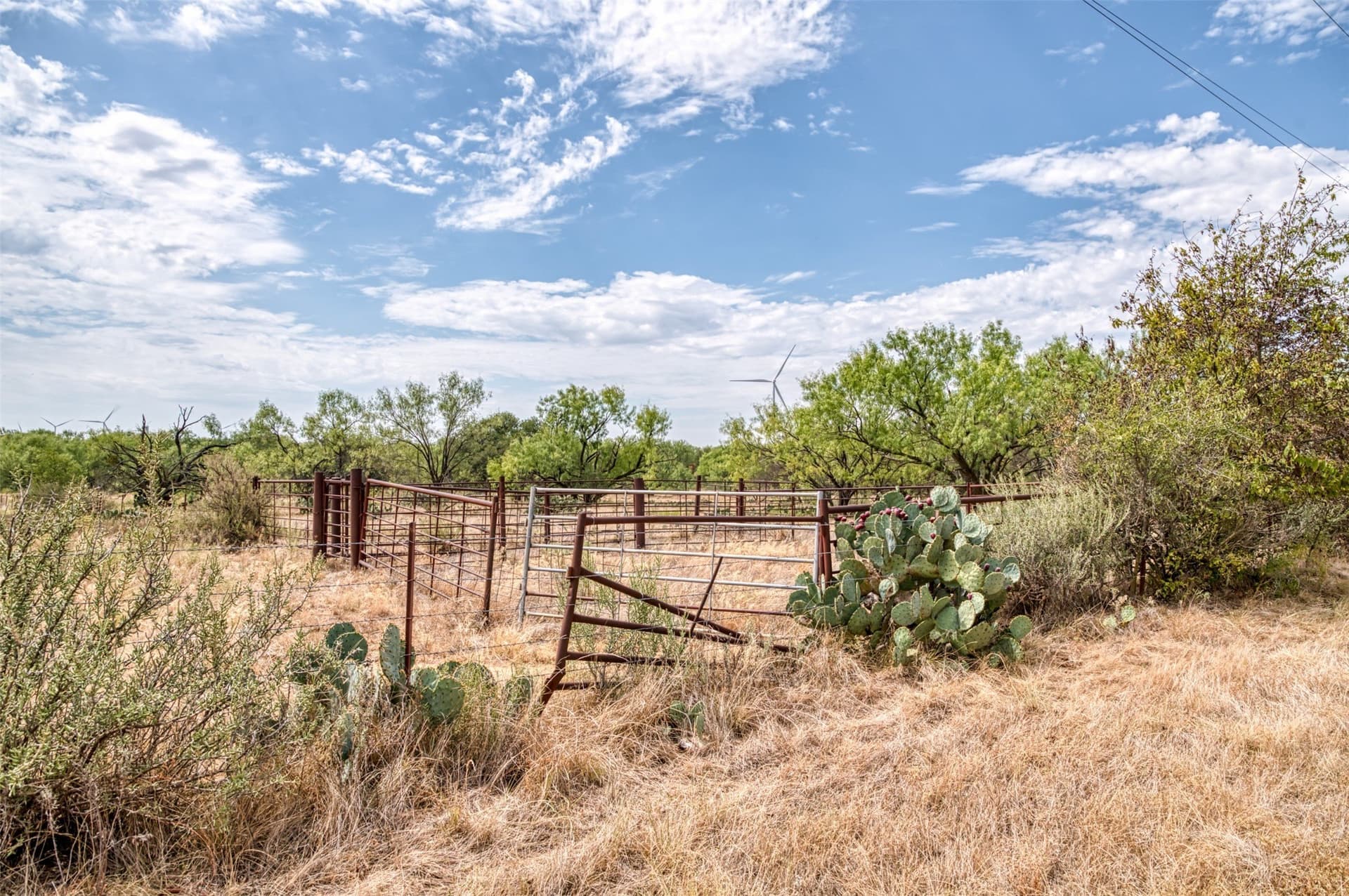 163 acres in Callahan County - photo 21