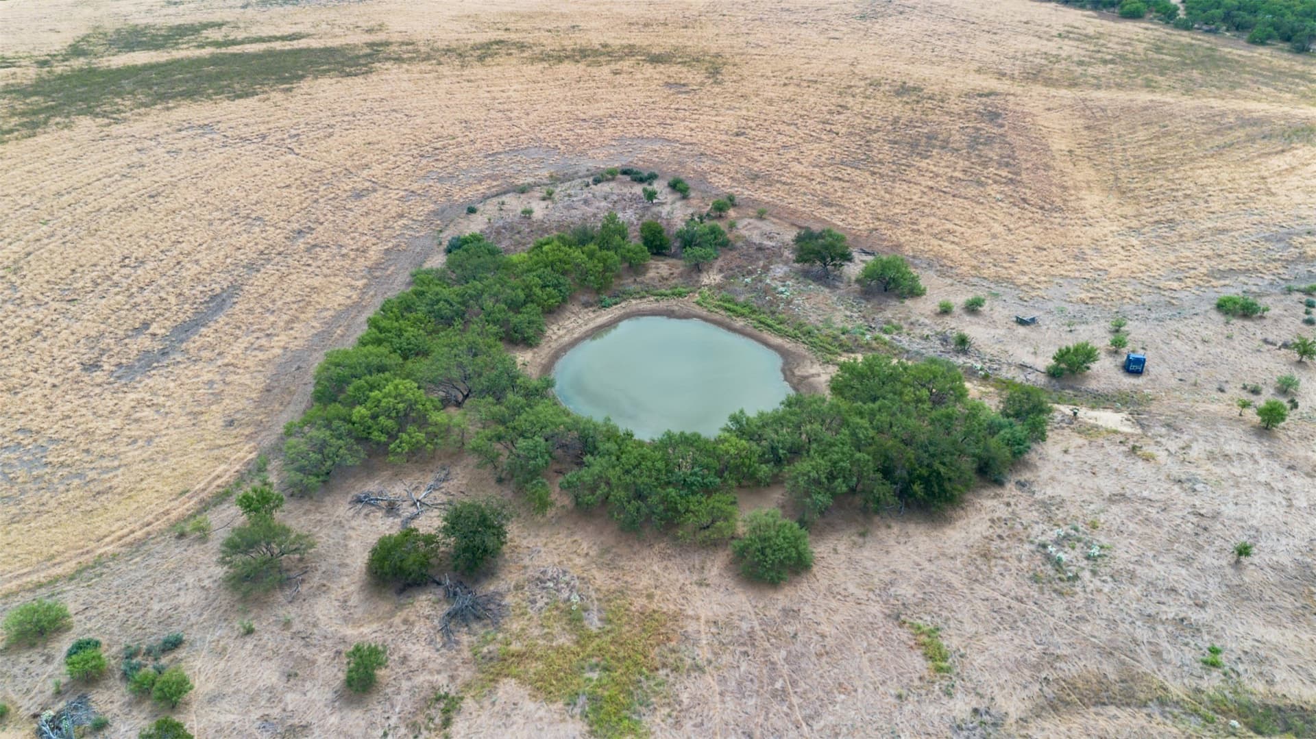 163 acres in Callahan County - photo 7