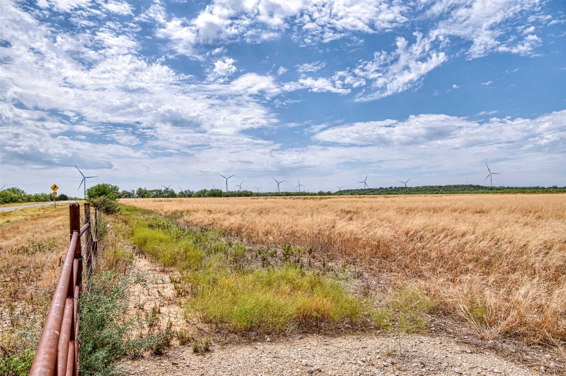 163 acres in Callahan County - photo 36