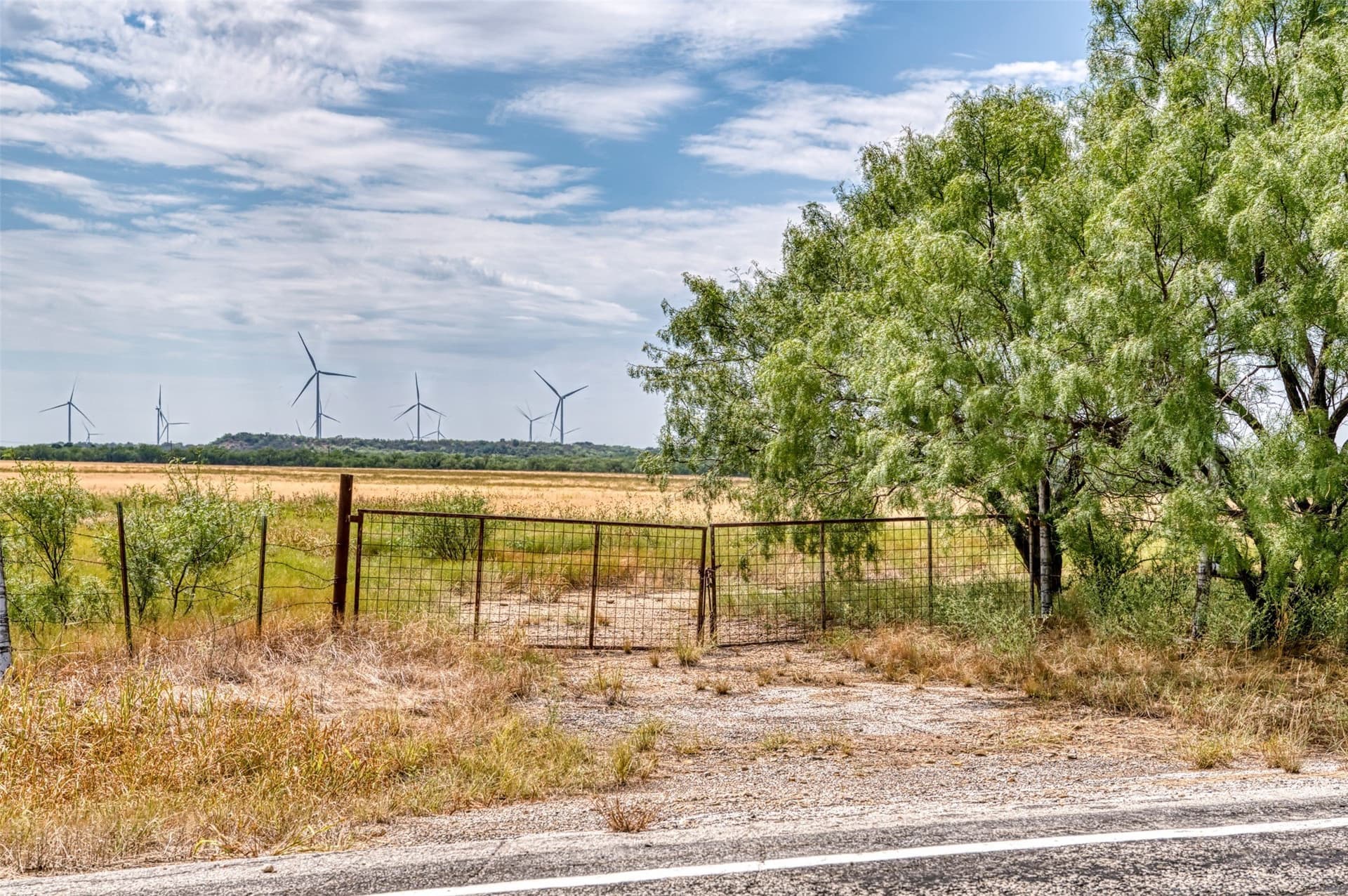 163 acres in Callahan County - photo 20