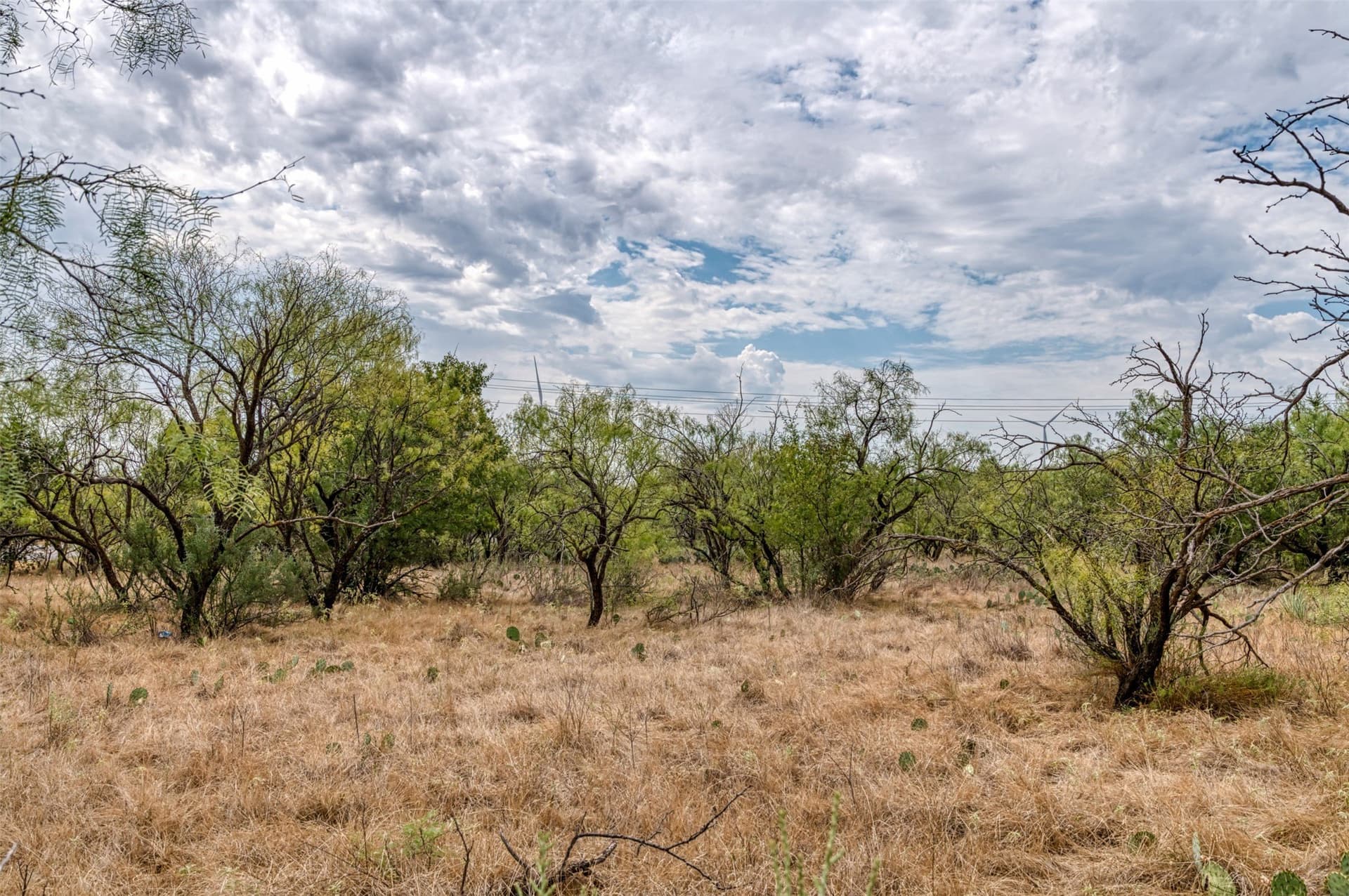 163 acres in Callahan County - photo 19