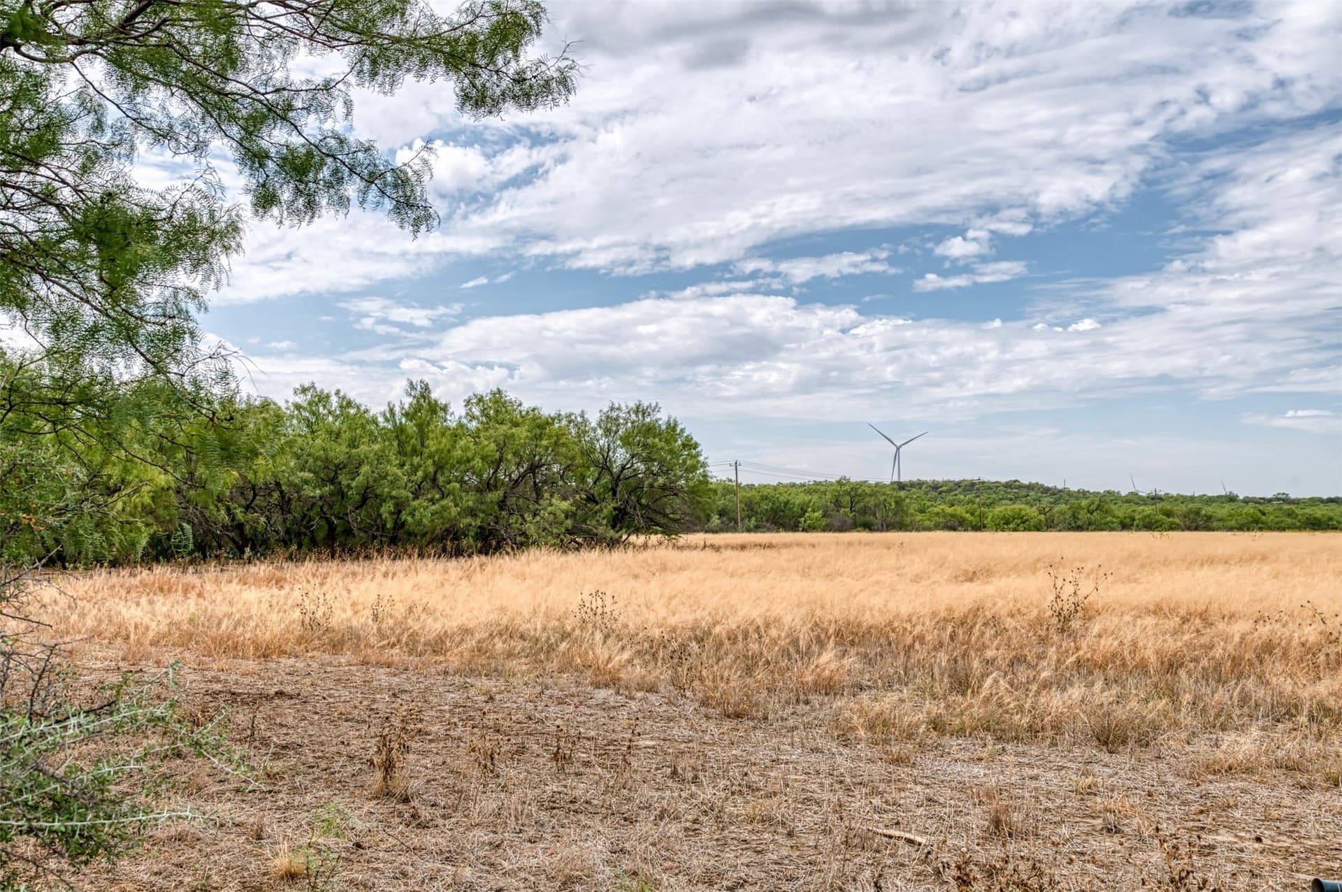 163 acres in Callahan County - photo 33