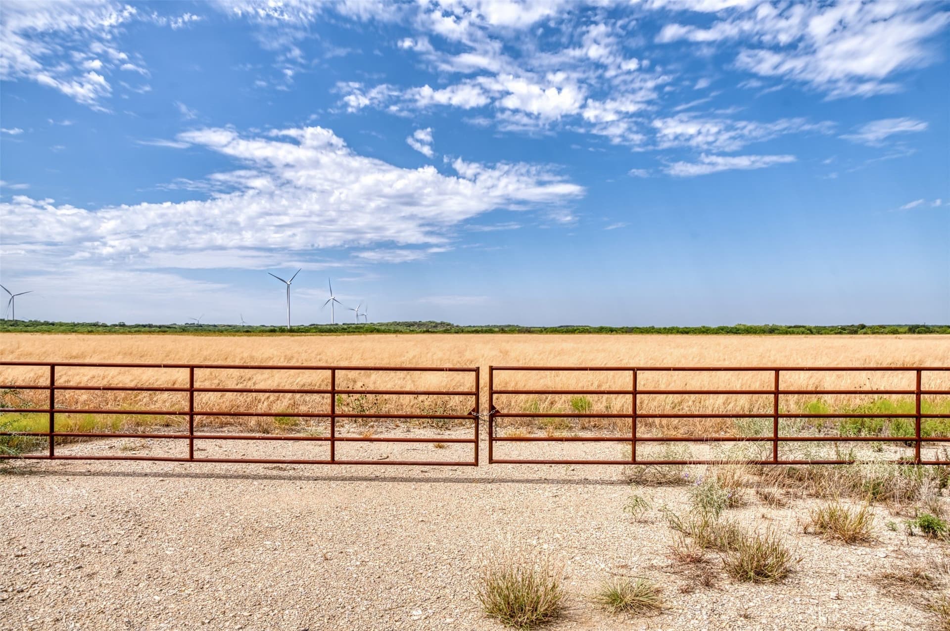 163 acres in Callahan County - photo 17