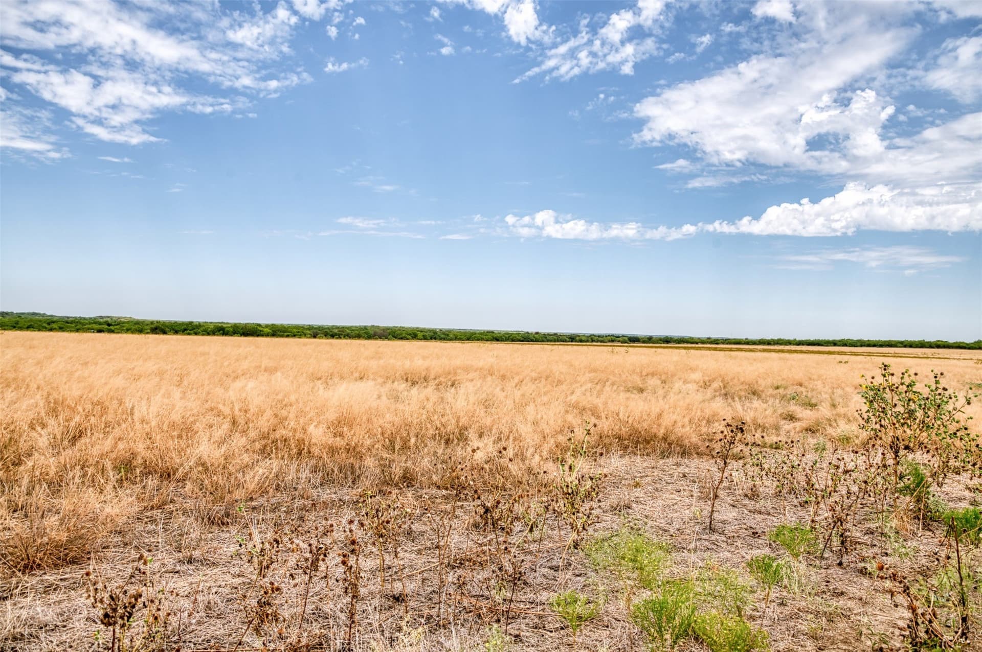 163 acres in Callahan County - photo 34