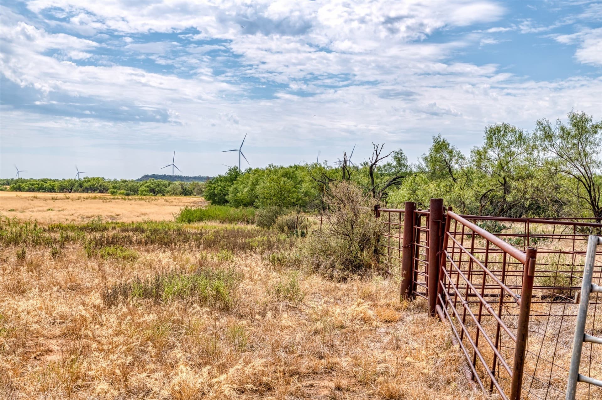 163 acres in Callahan County - photo 18