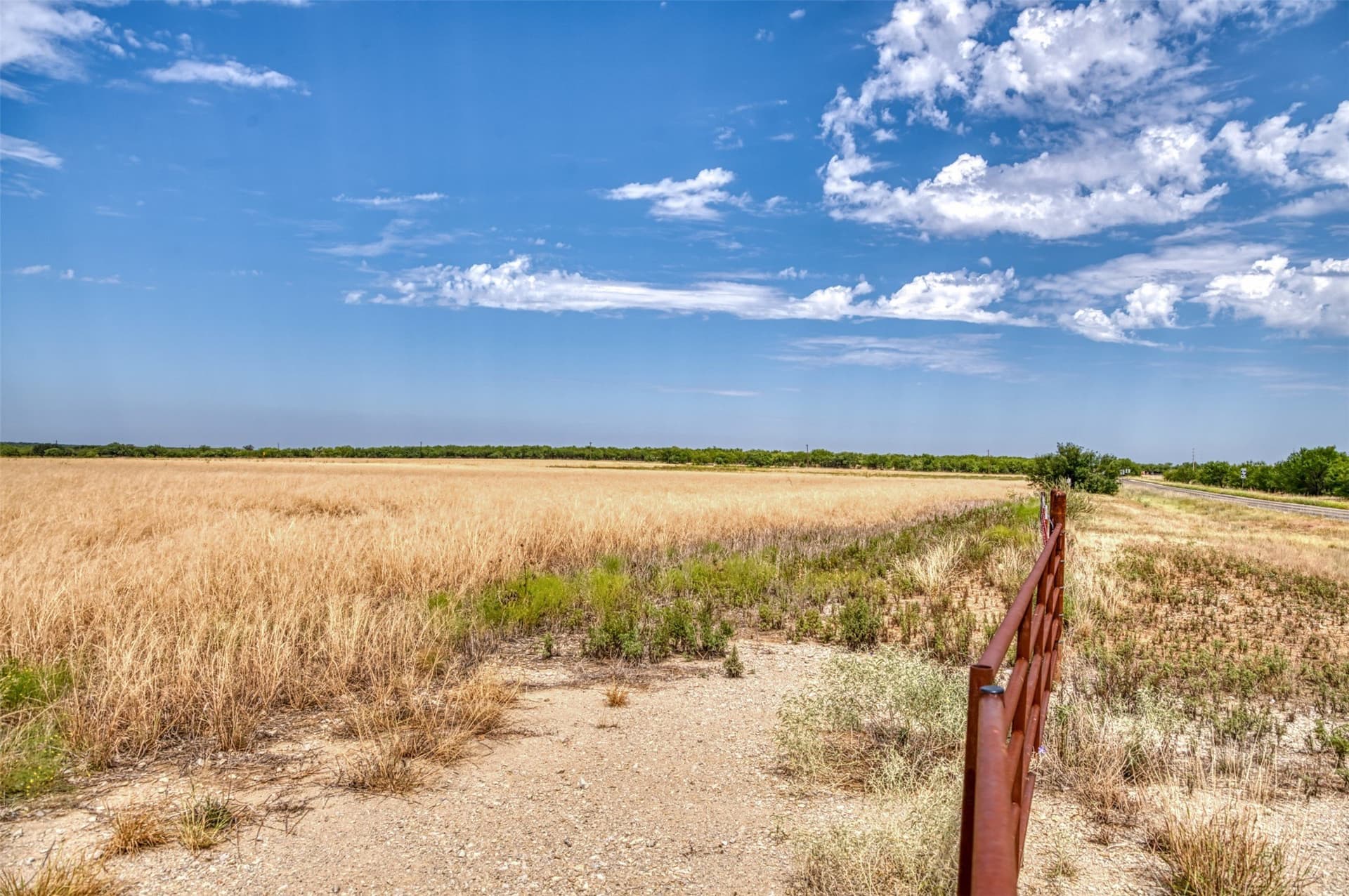 163 acres in Callahan County - photo 25
