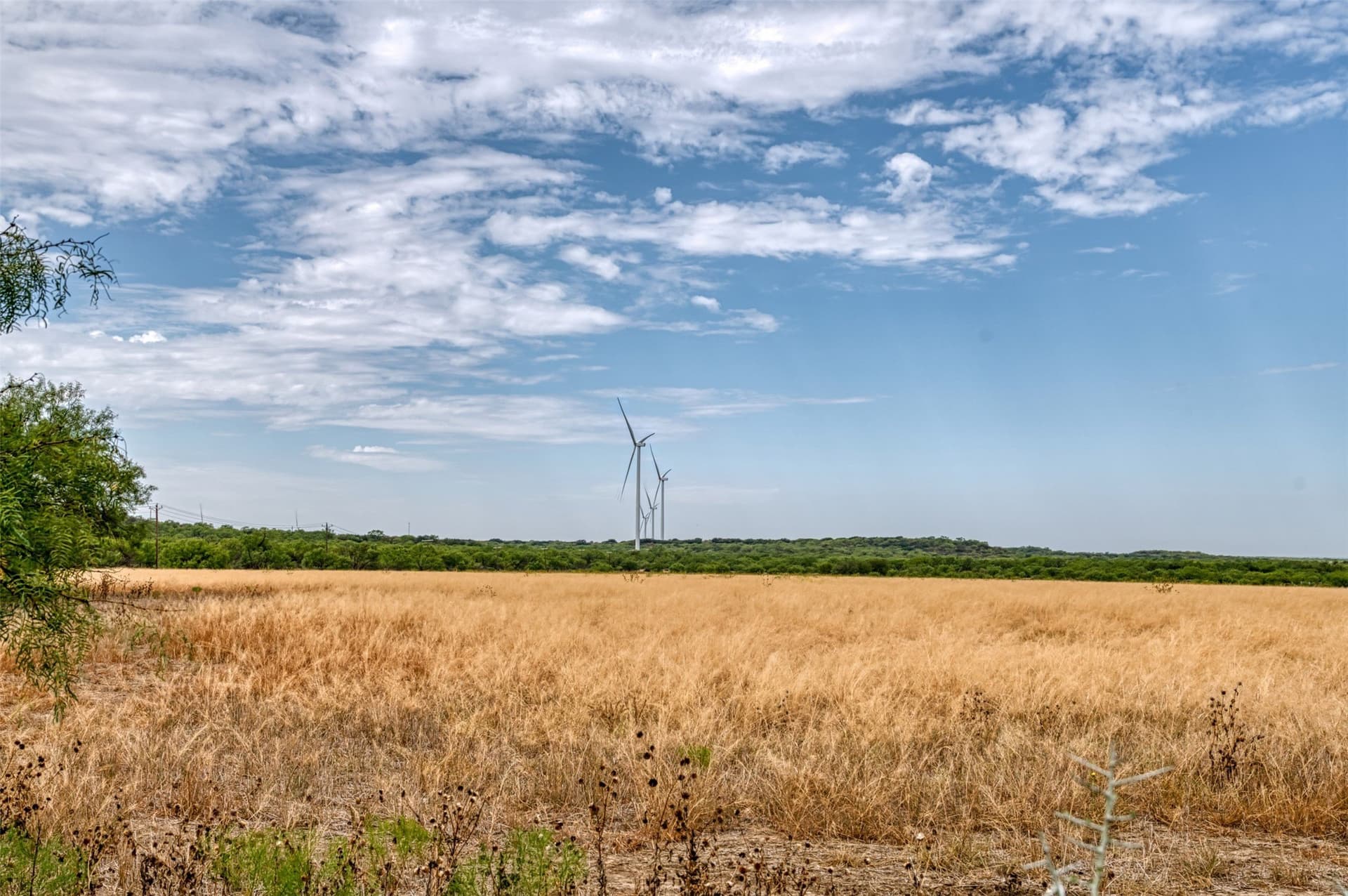163 acres in Callahan County - photo 24