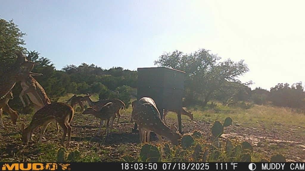 25.66 acres in Edwards County - photo 22