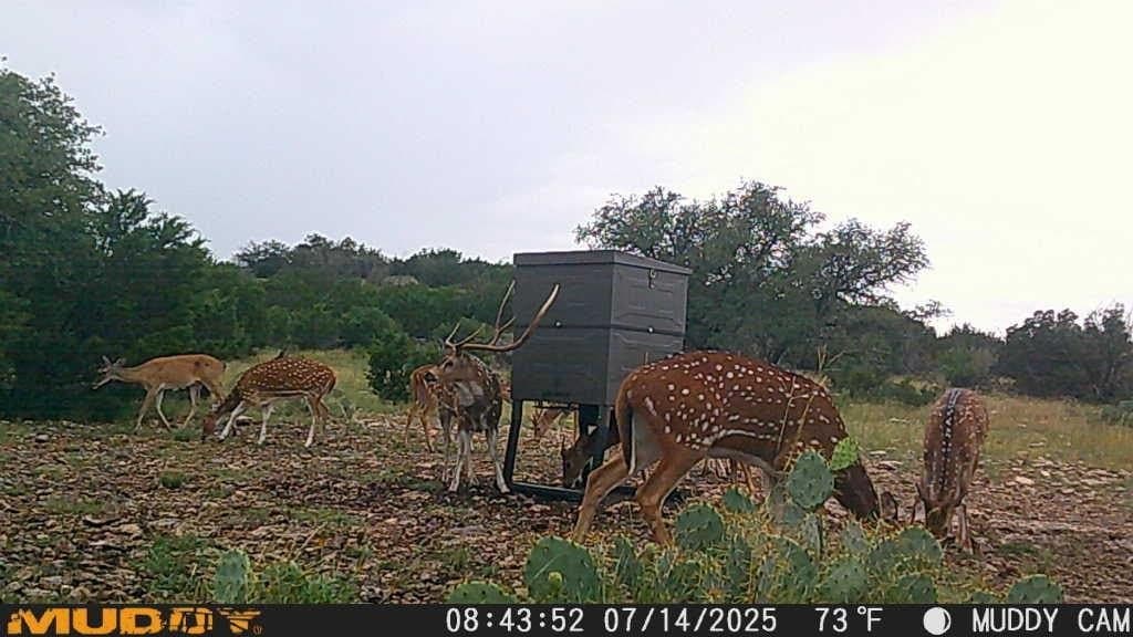 25.66 acres in Edwards County - photo 24
