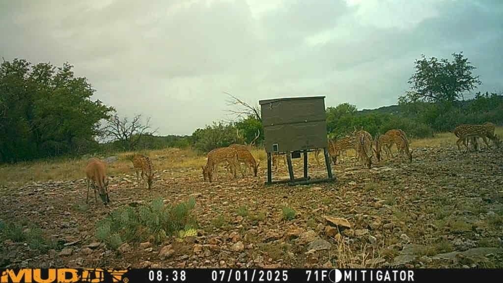 25.66 acres in Edwards County - photo 26