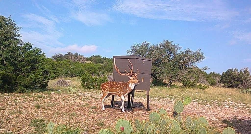 25.66 acres in Edwards County - photo 30