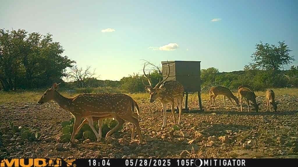 25.66 acres in Edwards County - photo 28