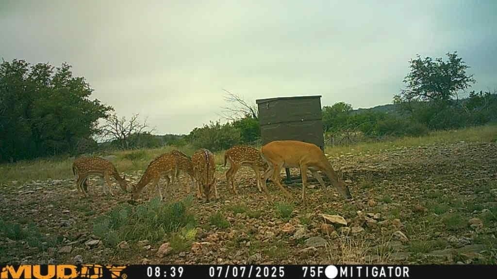 25.66 acres in Edwards County - photo 23