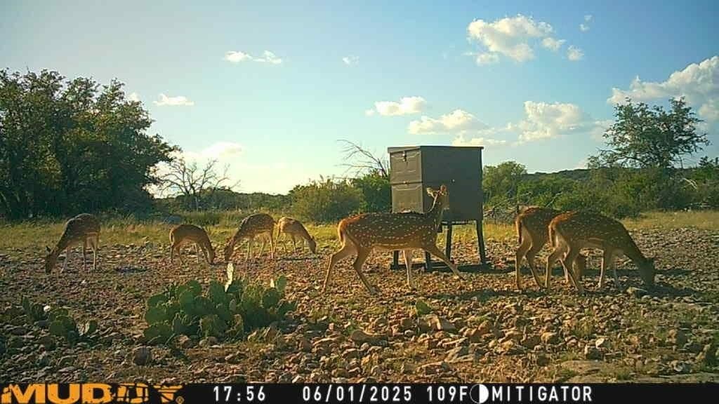 25.66 acres in Edwards County - photo 27