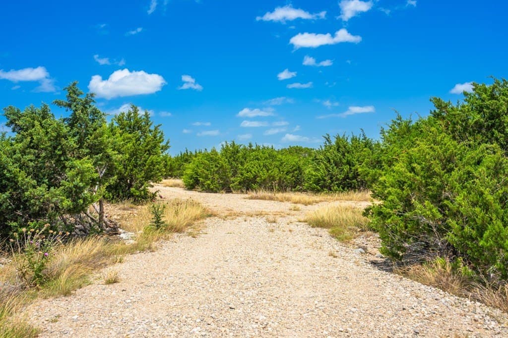 15.01 acres in Gillespie County - photo 7