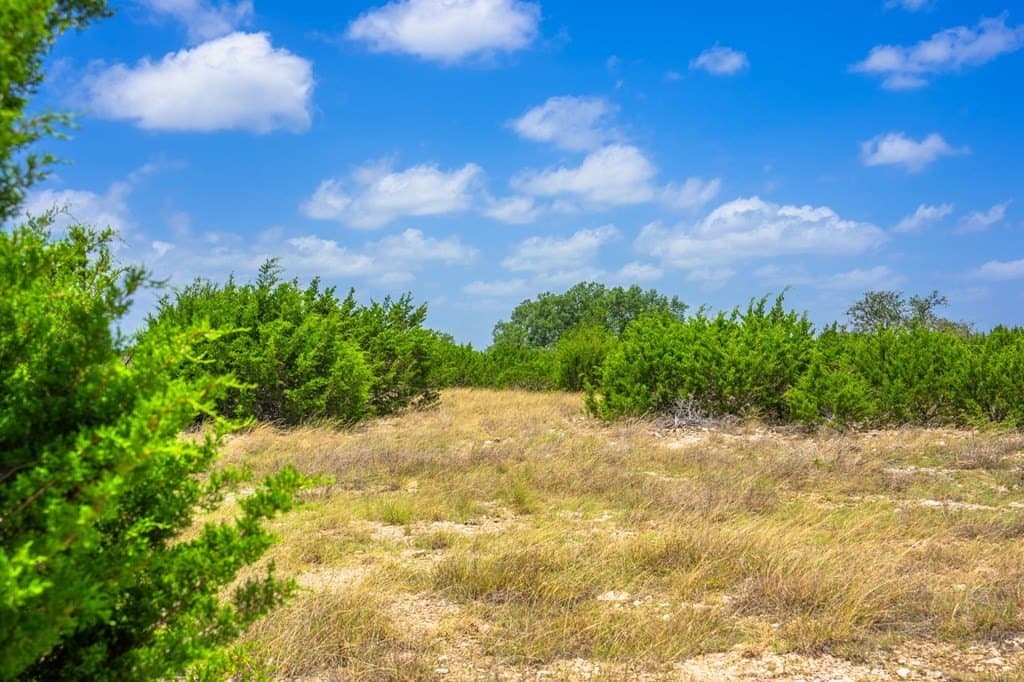15.01 acres in Gillespie County - photo 8