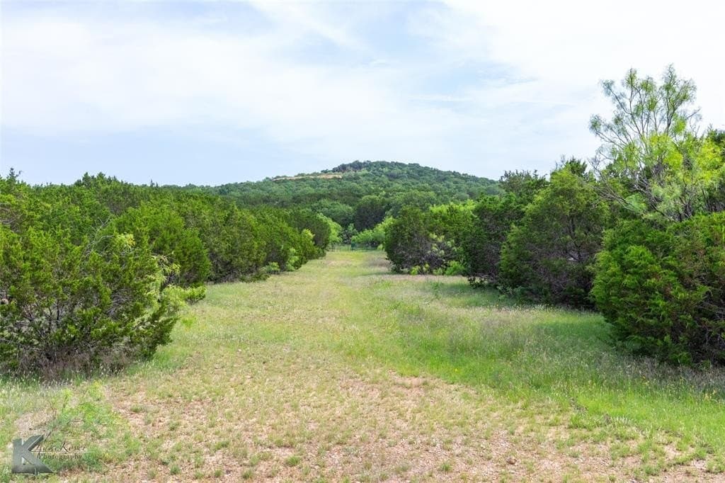 473.15 acres in Young County featured view