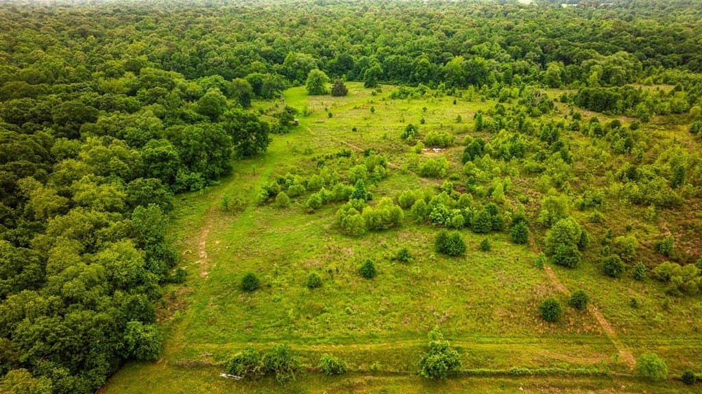 60.73 acres in ANDERSON County - photo 52