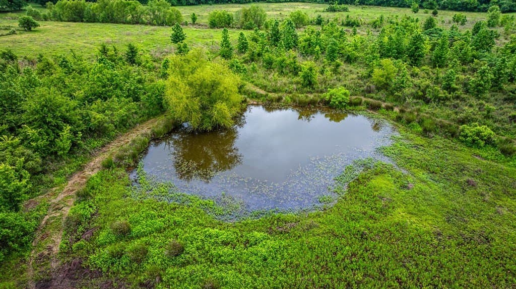 60.73 acres in ANDERSON County - photo 50