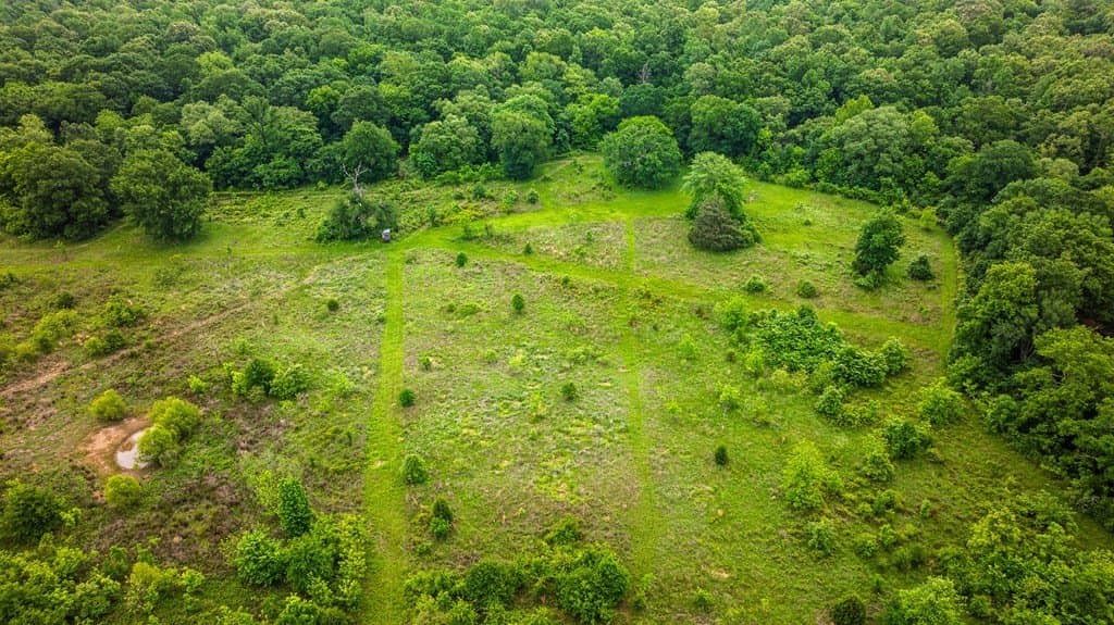 60.73 acres in ANDERSON County - photo 44