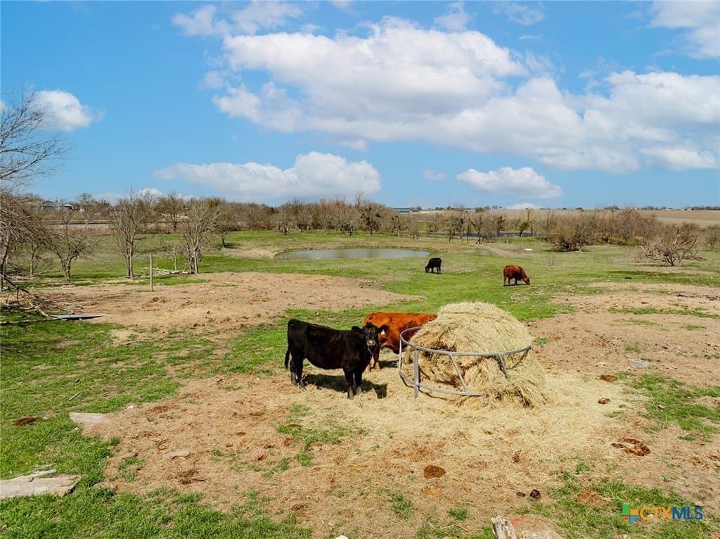 26.67 acres in Williamson County - photo 23