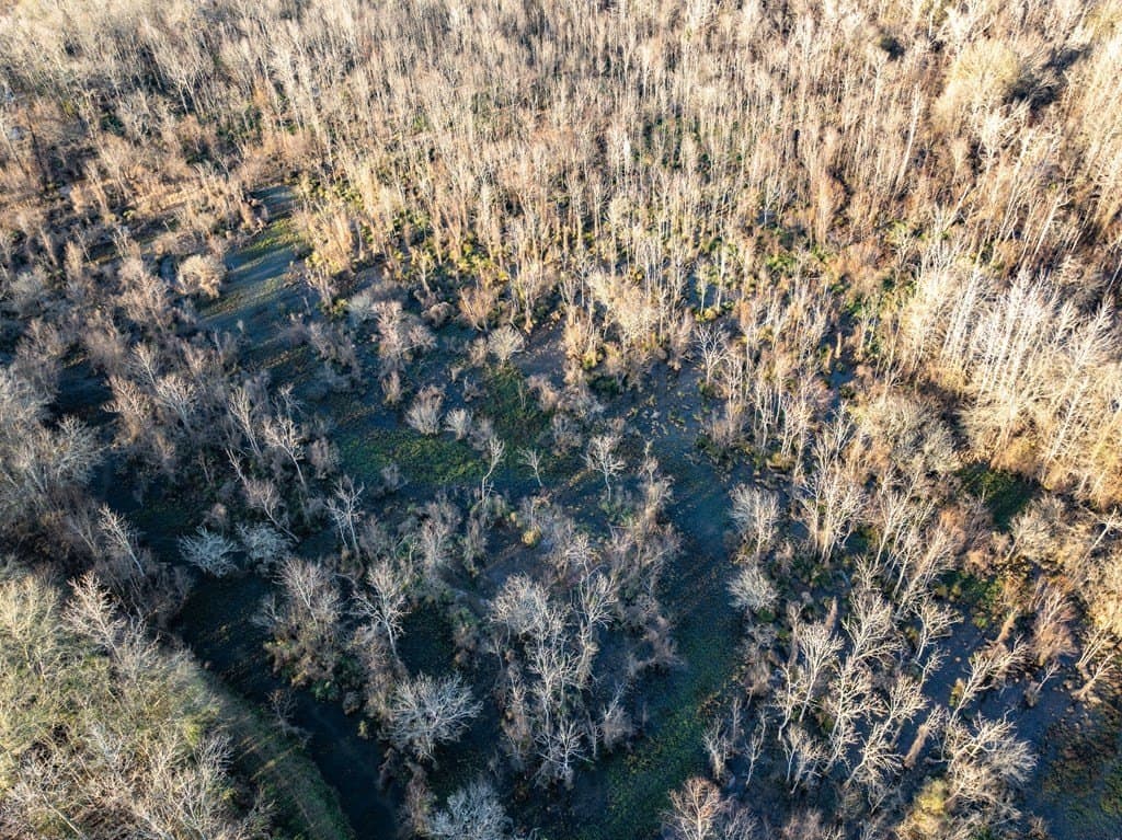20 acres in ANDERSON County gallery image 3