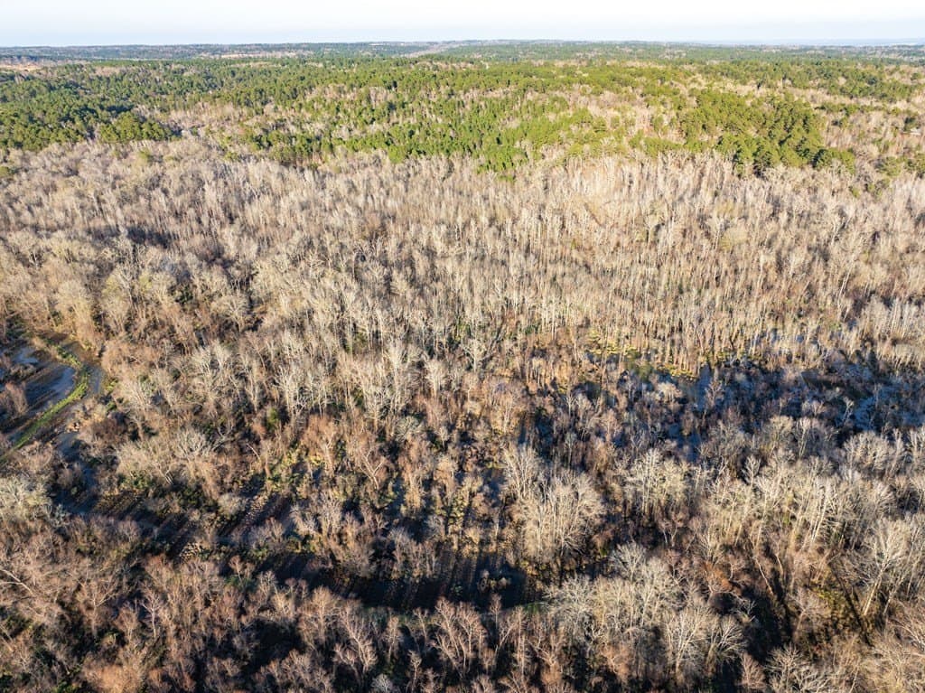 20 acres in ANDERSON County gallery image 2