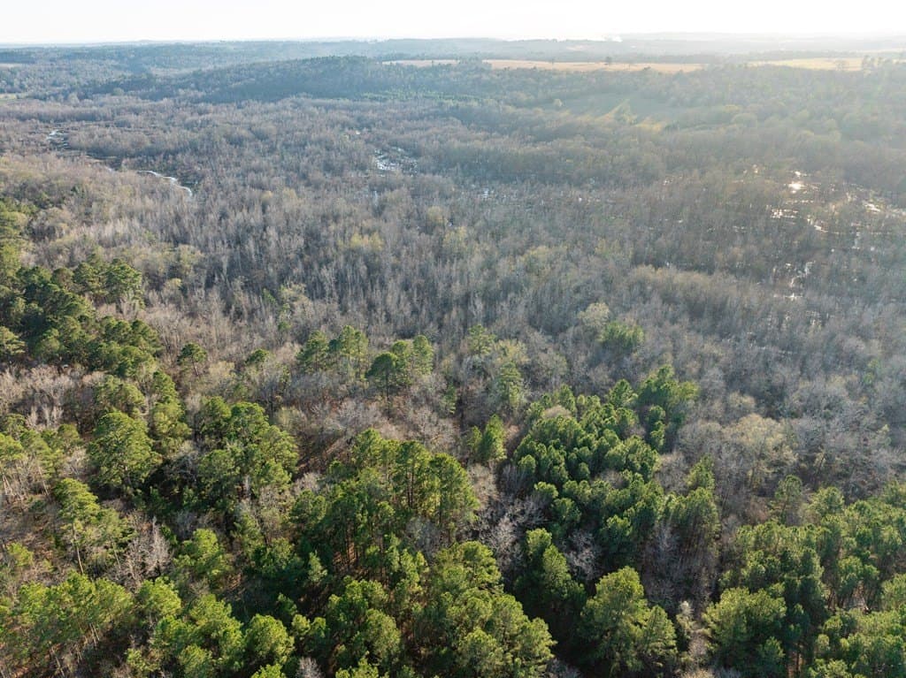 20 acres in ANDERSON County featured view