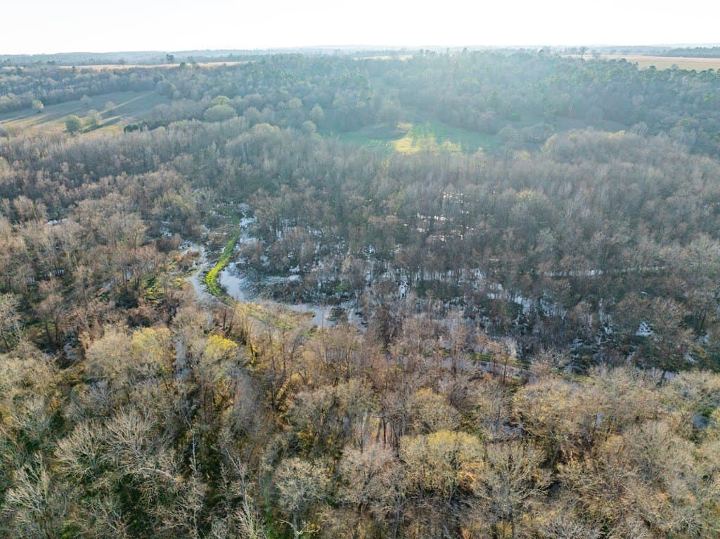 20 acres in ANDERSON County gallery image 4