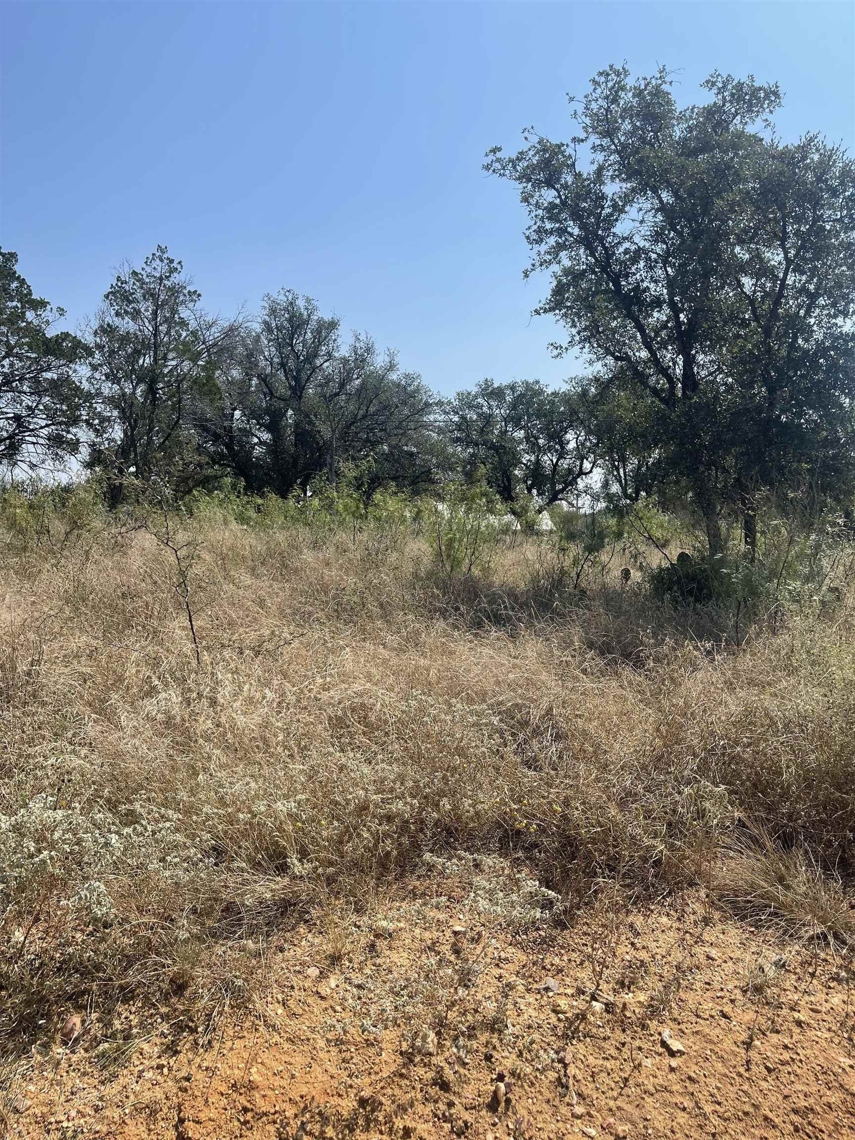 0.23 acres in Burnet County gallery image 3