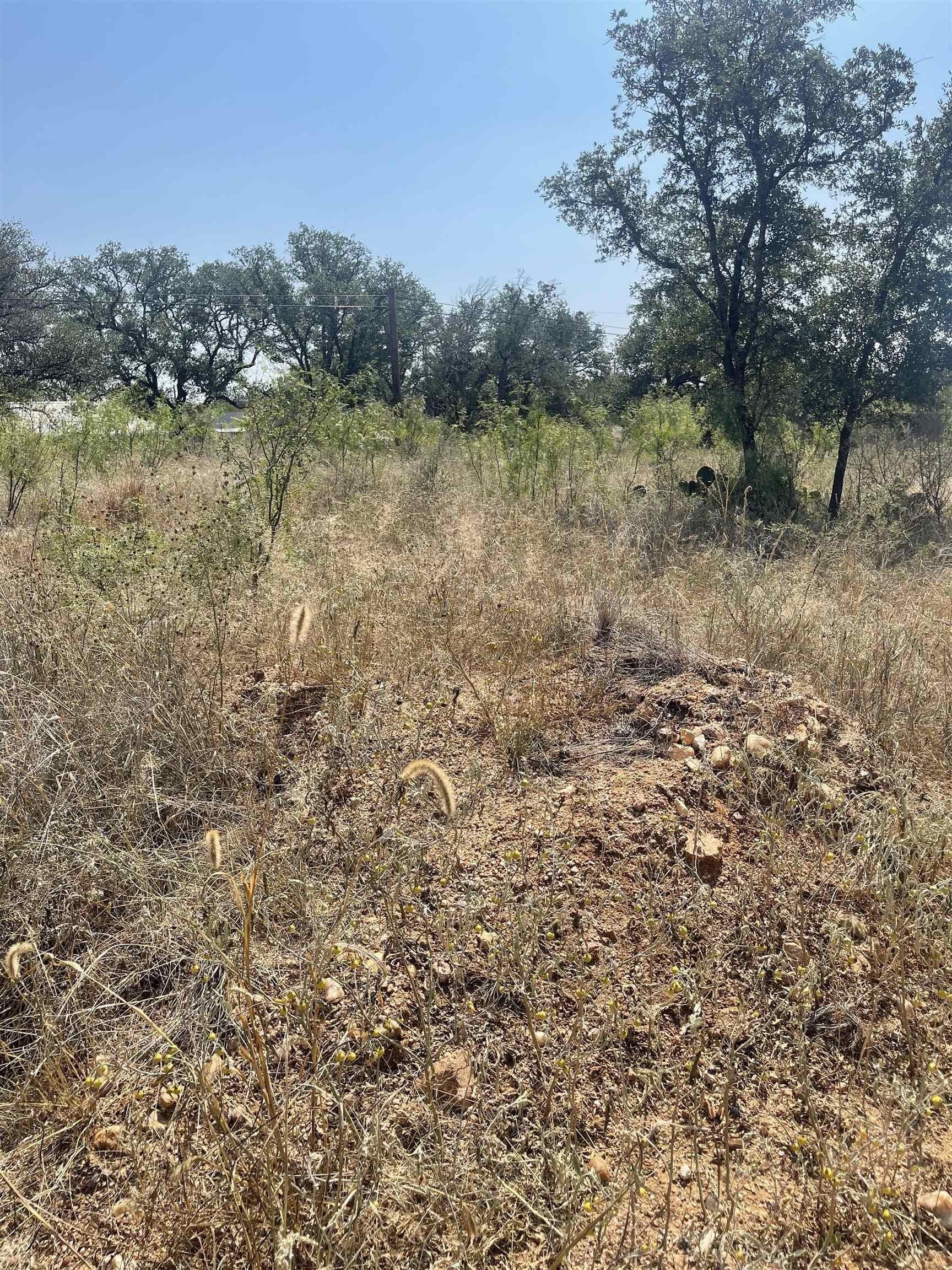 0.23 acres in Burnet County gallery image 4