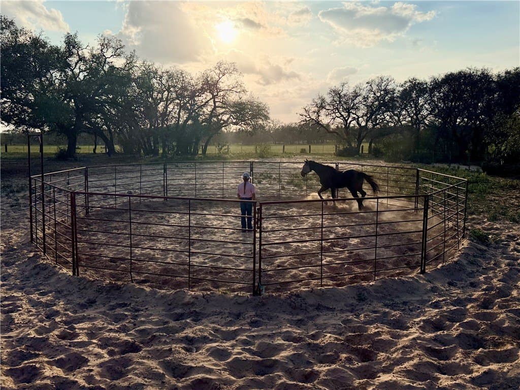 15.98 acres in Atascosa County gallery image 2