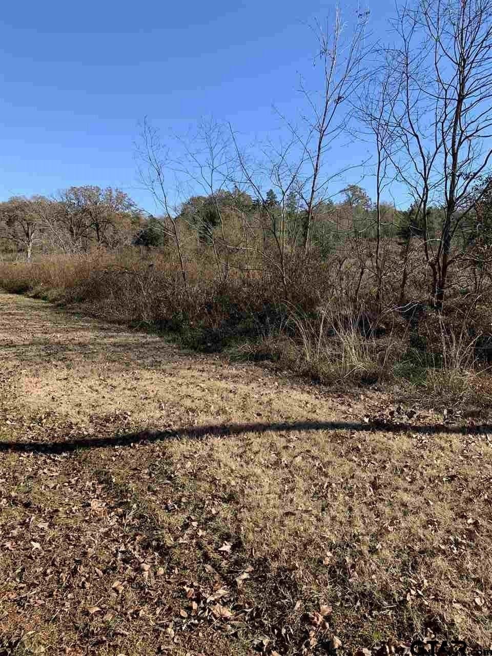 23.03 acres in Smith County gallery image 2