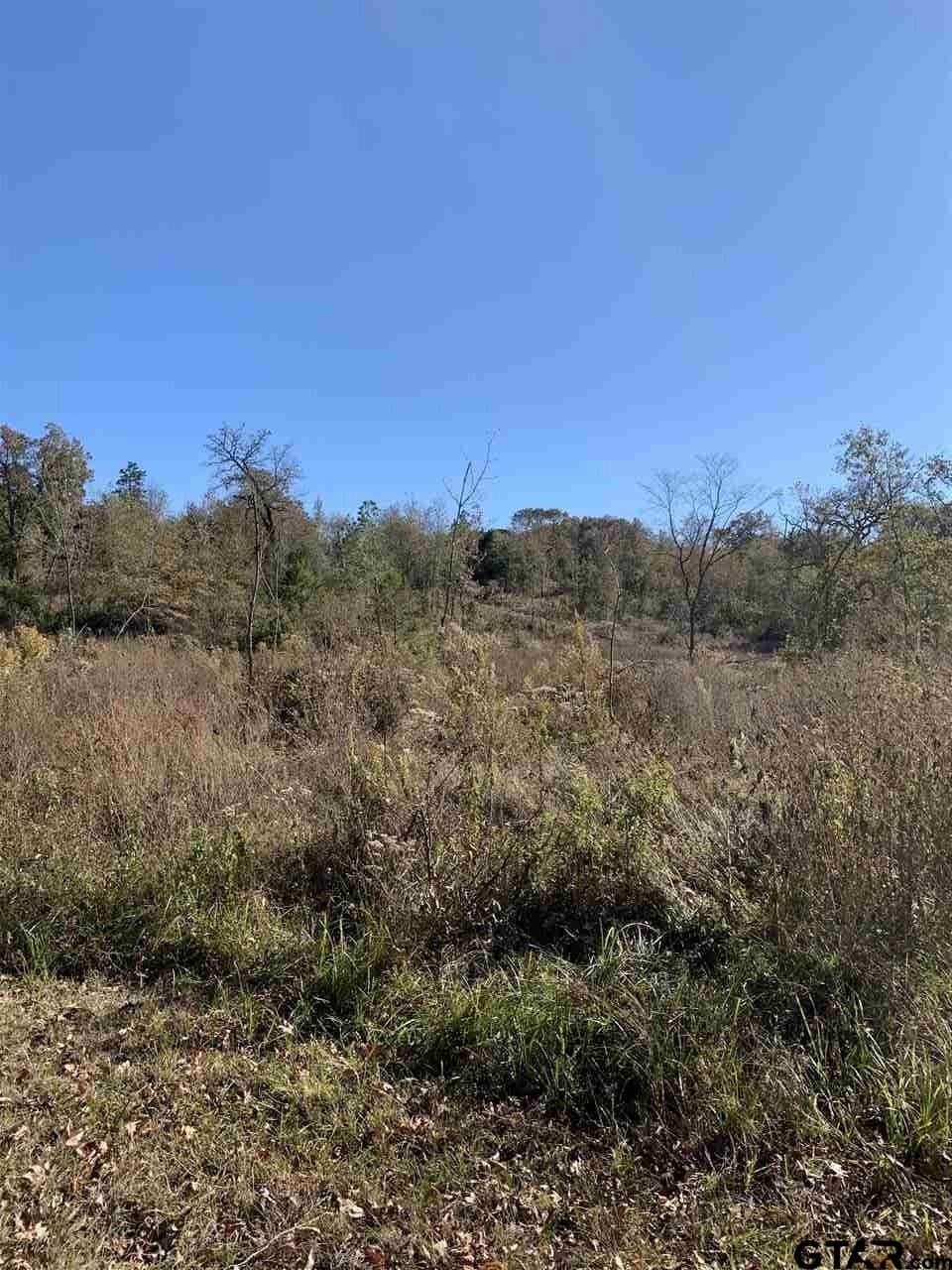 23.03 acres in Smith County - photo 6