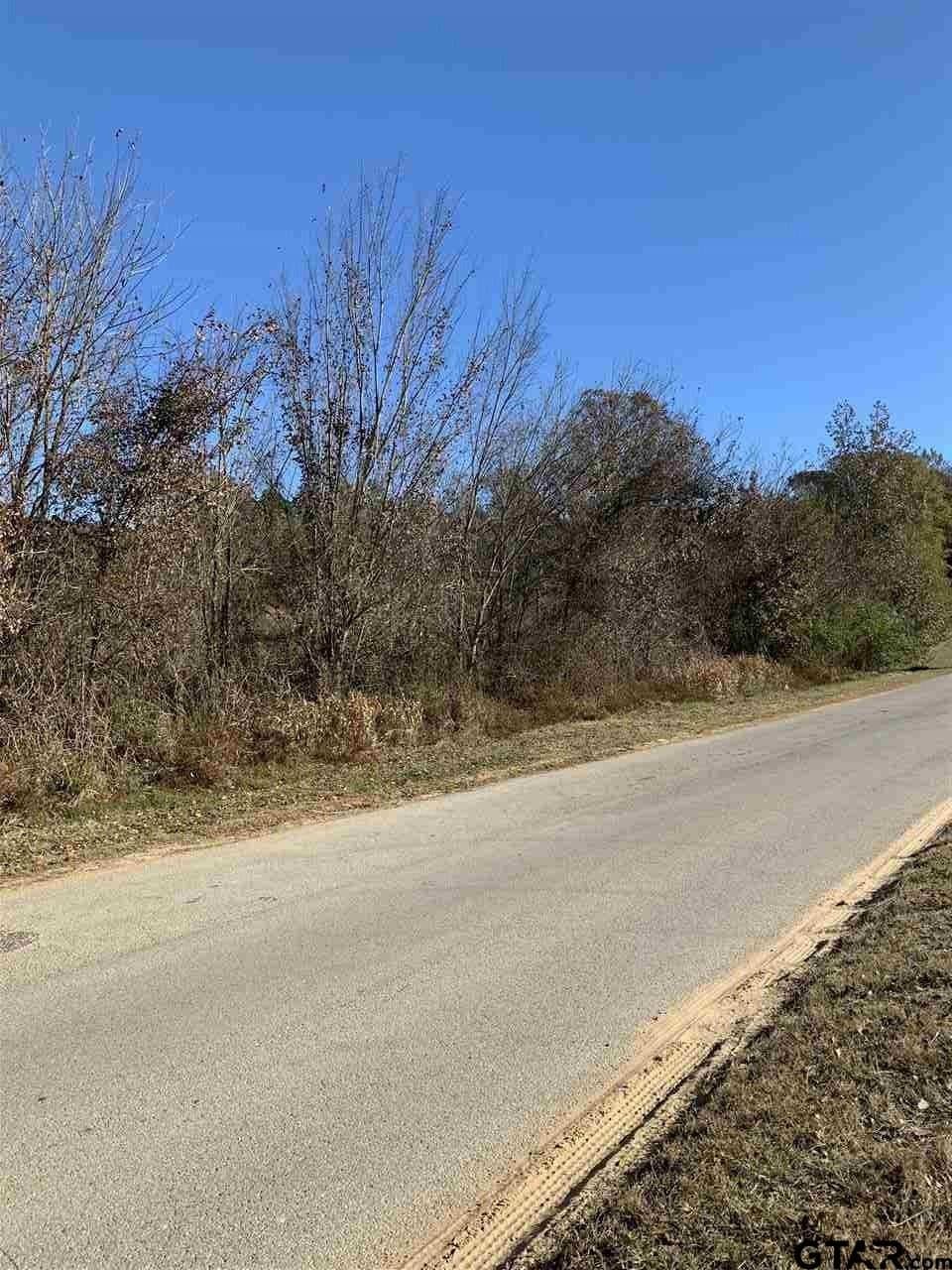 23.03 acres in Smith County - photo 9