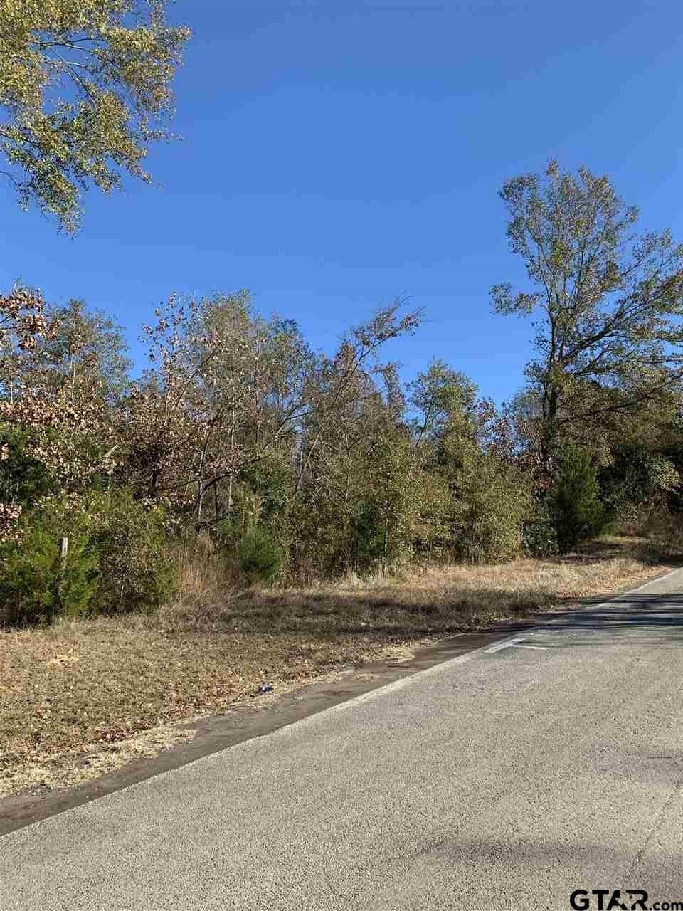 23.03 acres in Smith County - photo 12