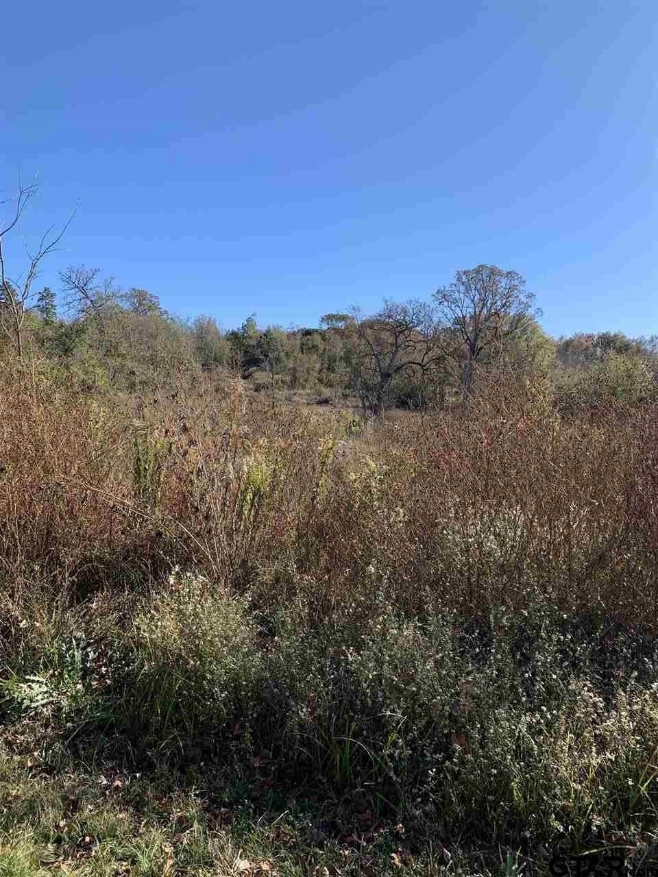 23.03 acres in Smith County gallery image 3