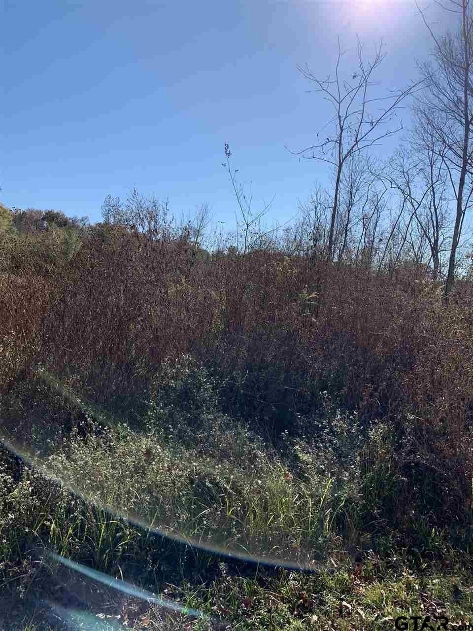 23.03 acres in Smith County gallery image 4