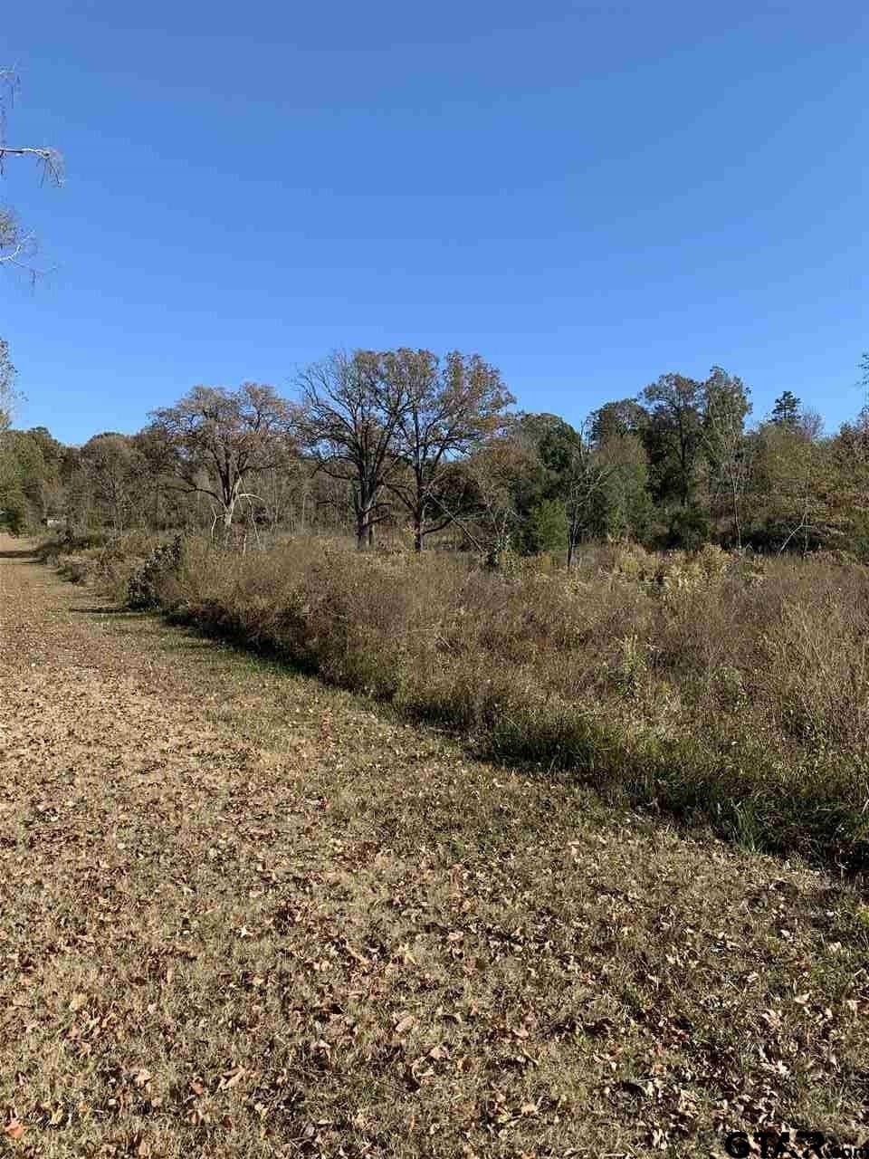 23.03 acres in Smith County featured view
