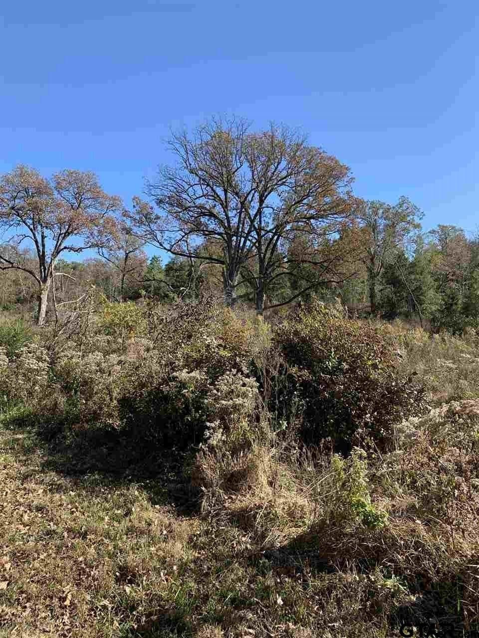 23.03 acres in Smith County - photo 7