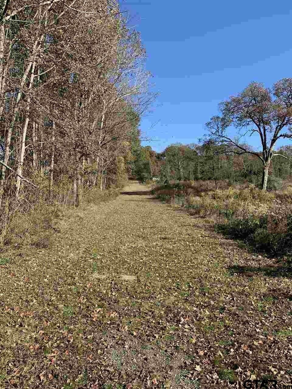 23.03 acres in Smith County - photo 8