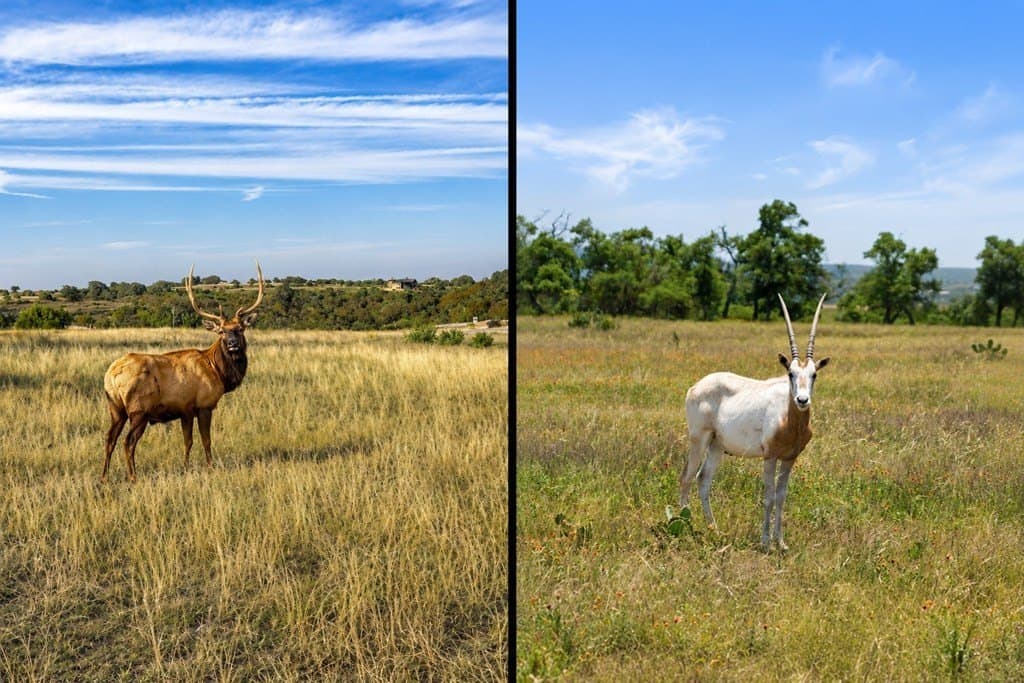 6.08 acres in Blanco County featured view