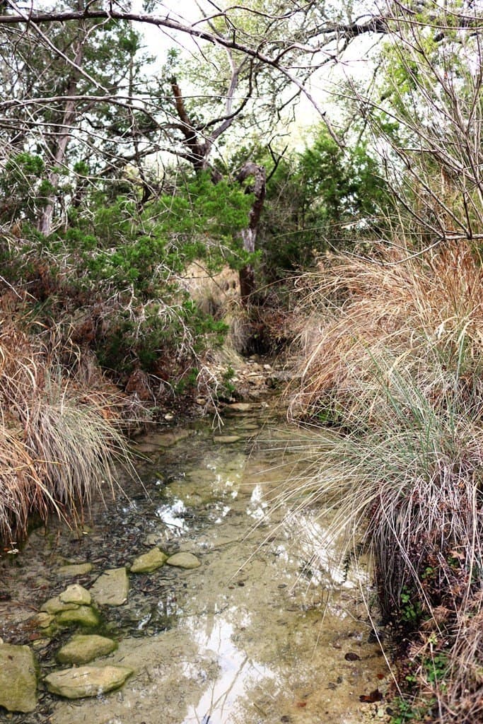 6.08 acres in Blanco County gallery image 4